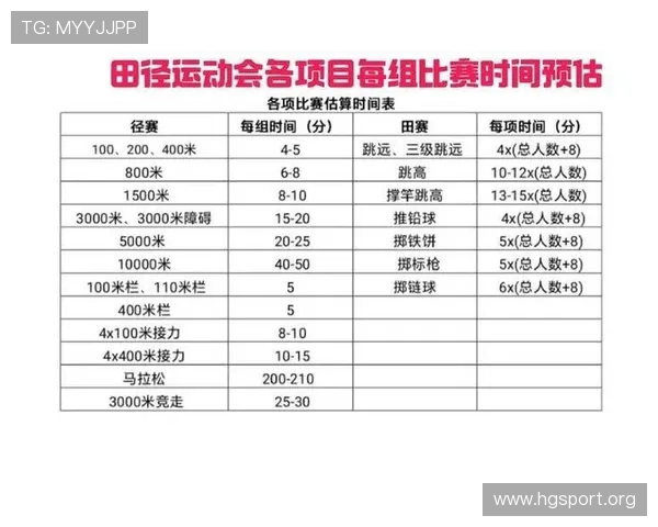 3377体育全新体验解析及赛事资讯深度攻略指南
